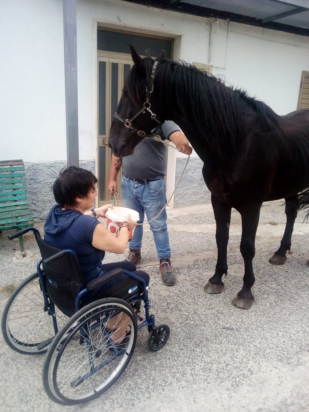 Un nostro Cavallo in ... servizio