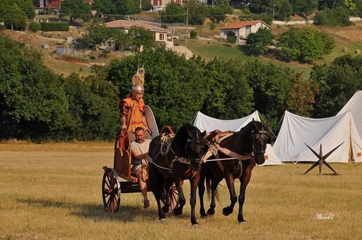 Splendida foto di accampamento romano con Cavalli che trainano una biga