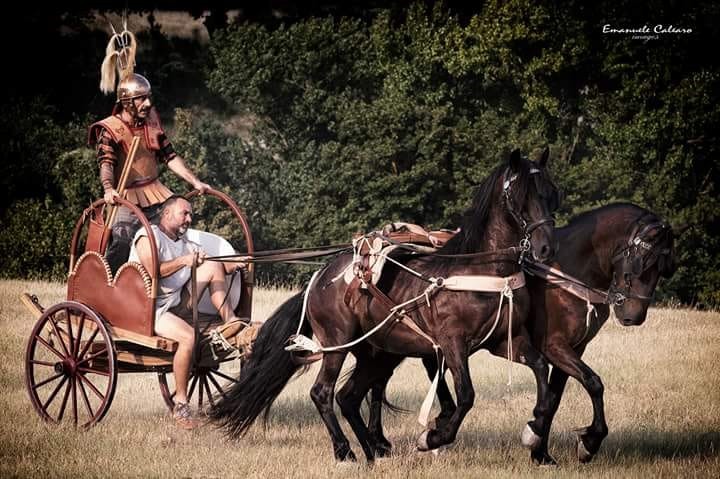 Cavalli che trainano Carrozza d'epoca