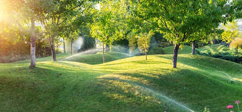 alberi frutta nei giardini